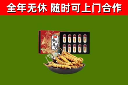 美姑县烟酒回收冬虫夏草礼盒.jpg